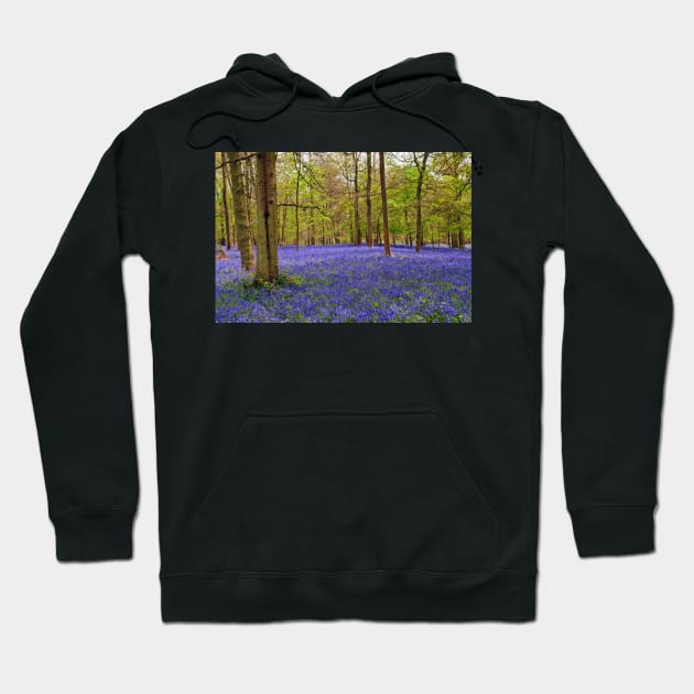 Bluebells Bluebell Woods Greys Court Oxfordshire UK Hoodie by AndyEvansPhotos